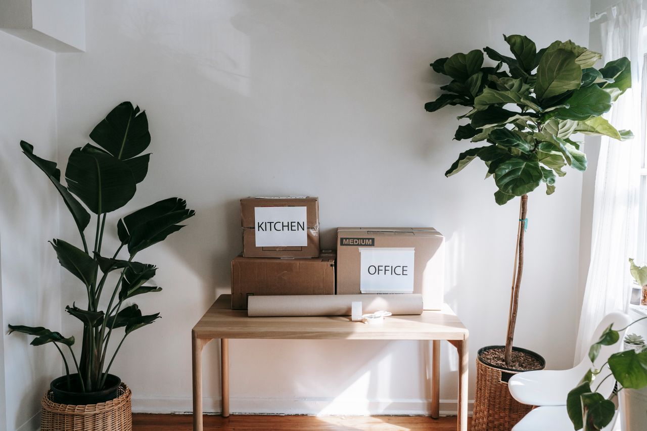 our-mission Stylish interior with moving boxes labeled Kitchen and Office on a wooden table surrounded by houseplants.